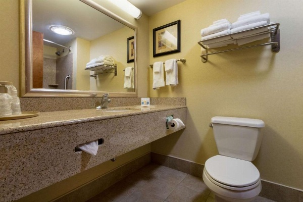 Comfort Suites Gettysburg image 14